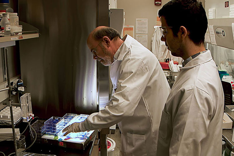 Professor Richard Kuhn working in his lab in Hockmeyer Hall.