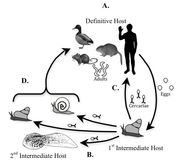 Figure1