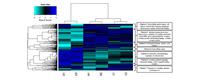 Delving into Host-Parasite Interactions