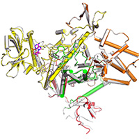 Discovery provides path to pathogen-targeted antibiotics