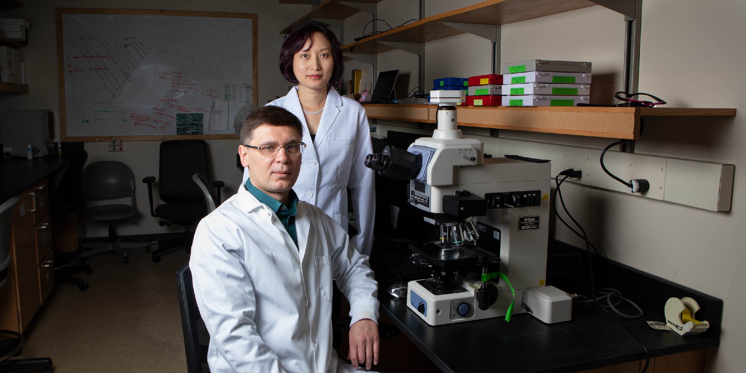 Professor Qixin He stands behind postdoc Pavel Klimov, in their lab.